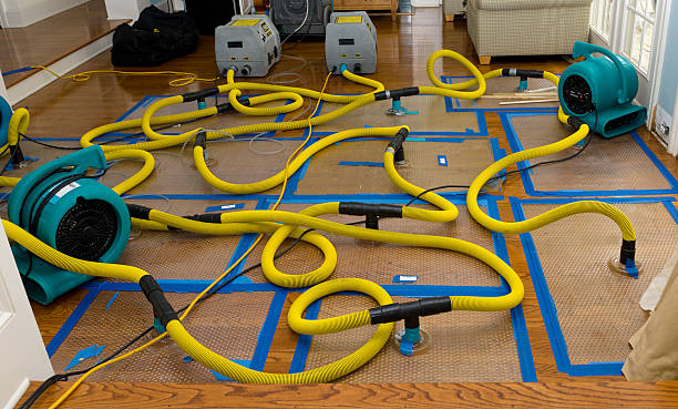 Professional Structural Drying And Dehumidification technician working in Vaughan, MS